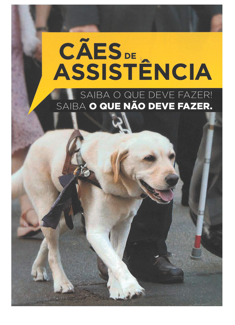 Capa