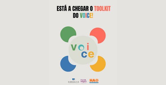  Cartaz do Projeto VOICE: Voluntariado e Emprego Apoiado para Pessoas com Deficiência 