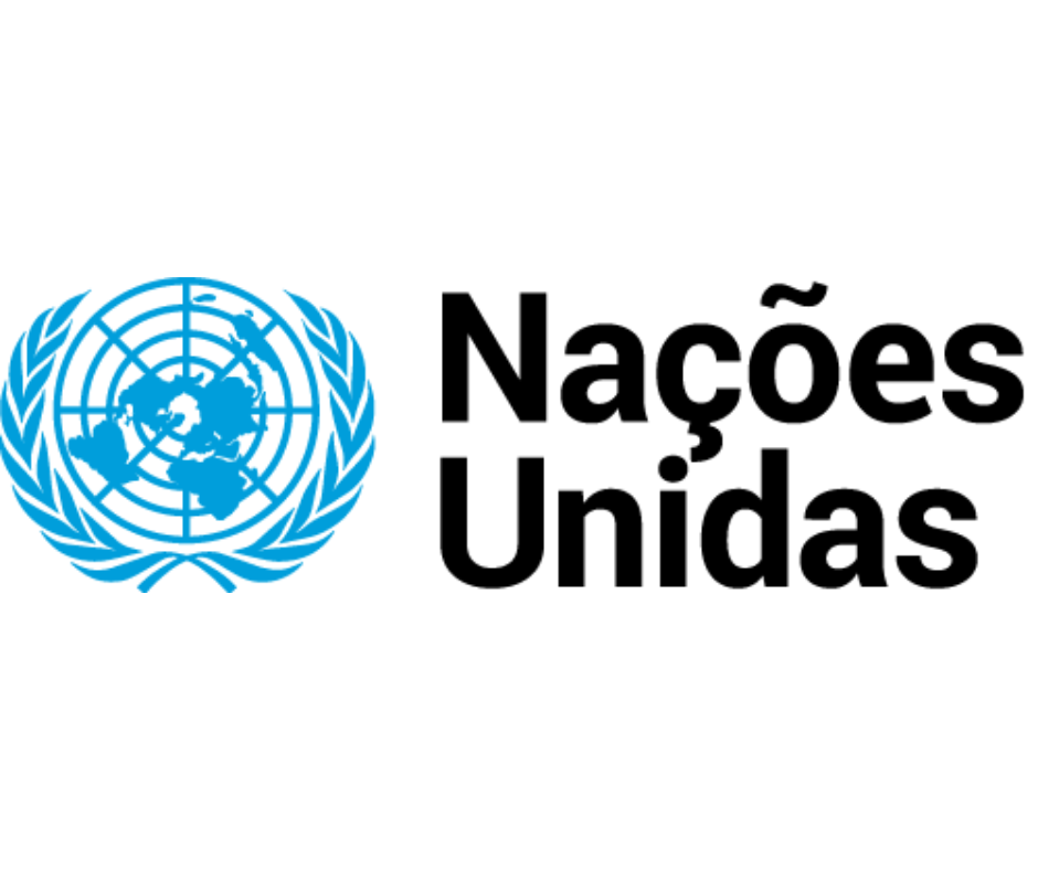 UN logo on white background. The logo consists of a world map seen from above, with lines of latitude and longitude. Around the map there are two symmetrical olive branches that form a circular crown. The lines and elements of the logo are shown in blue.
