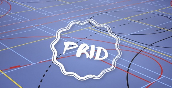 Diversas marcas no chão correspondentes às marcações dos campos de jogos e no centro PRID.