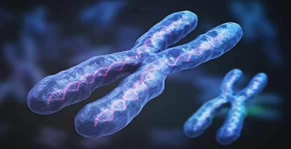 Chromosome X - Turner Syndrome