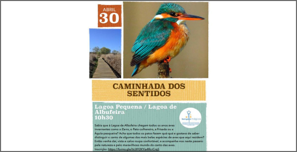 Cartaz com informação do texto, um pássaro e um caminho para o evento