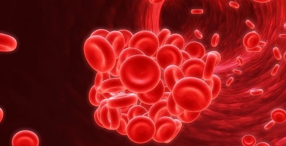 Representação computorizada de glóbulos vermelhos